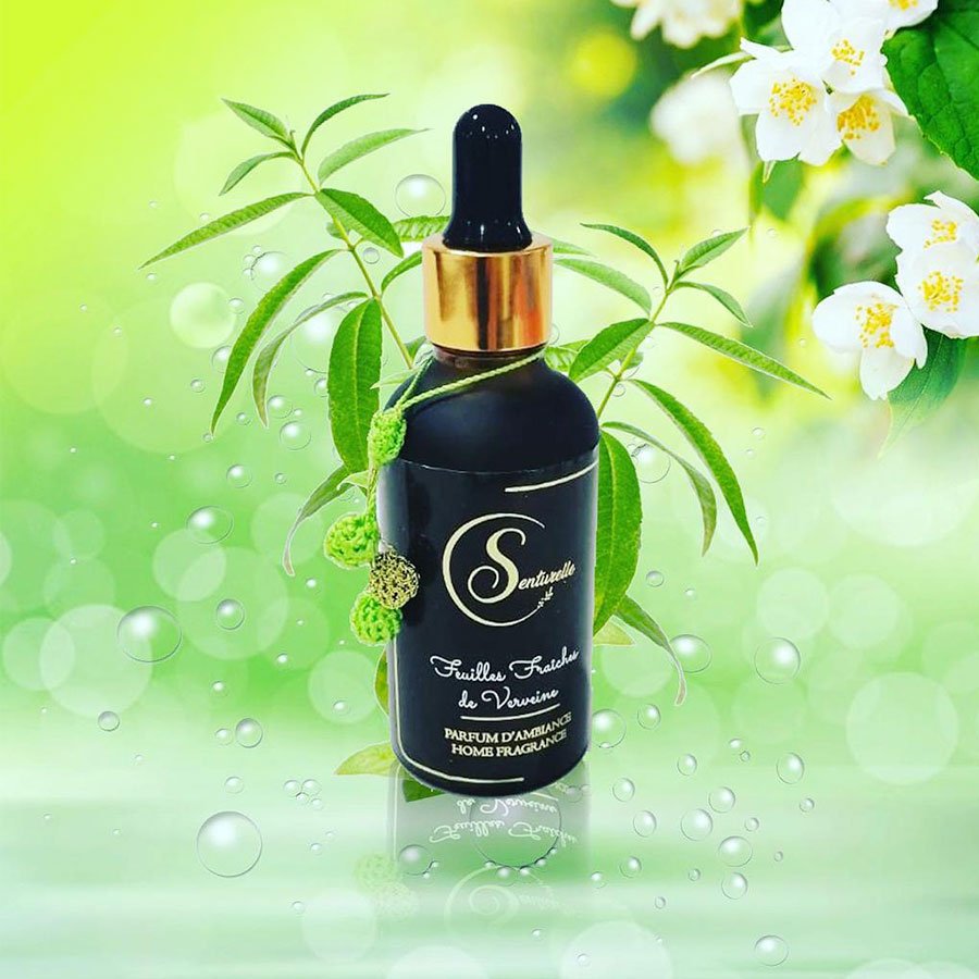 Parfum d’ambiance – Feuilles fraîches de verveine